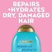 OGX Extra Strength Argan Oil Conditioner - Hydrate & Repair - 13 oz - Buy Online on GoSupps.com