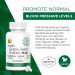 Plantonin Grape Seed Extract 500mg | 93% OPCs | 120 000mg Strength | 60 Capsules | 2 Months Supply | GMO & Gluten Free | Polyphenols Supplement - Buy Online on GoSupps.com