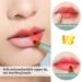 Buy Songaa Retractable Lip Brush - 2 Pack Dual-Ended Lip Applicator for Lipstick Lip Gloss & Liner - Stylish Silver & Green Design - Buy Online on GoSupps.com