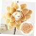 COHEALI 1 Pistachio Shell Kids Crafts Kids DIY Craft Charms Material DIY Accessory Child Decorate Self Made As Shown 2X1.2CM - Buy Online on GoSupps.com
