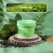 Green Tea Clay Mask for Oily Skin - Deep Cleansing Dark Spot & Acne Treatment - 3.52 Oz - Buy Online on GoSupps.com