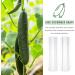 jojofuny 3Pcs Fruit Shaper Vegetable Forming Mould Tool Fruit Stereotypes for 20x6cm As Shown - Buy Online on GoSupps.com