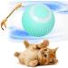 Wloom Power Ball 2.0 Cat Toy Aiveys Cat Ball Aiveys Smart Ball Cat Zombie Balls for Cats Playtime Gertar Cat Toy (Blue) - Buy Online on GoSupps.com
