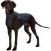 Trixie 30400 Insect Shield Vest Grey XS - Premium Bug Protection for Pets | International Shipping Available - Buy Online on GoSupps.com