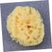 DOITOOL Bath Shower Sponge Bath Sponge Sponges Seaweed Sponge Algae Sponge Honeycomb - Buy Online on GoSupps.com