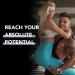Tongkat Ali Ultrapower - Longjack Extract Supplement for Men's Stamina Strength Endurance & Muscle Growth | 60 Non-GMO Capsules - Best Pre Workout Formula - Buy Online on GoSupps.com