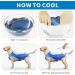 MOSUCOURL Dog Cooling Vest - Breathable Summer Coat for Dogs | Anti-Heat Evaporative Jacket for Outdoor Activities (Blue XS) - Buy Online on GoSupps.com