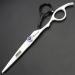 6-Inch Left Handed Hairdresser Scissors Hairdresser Hairdresser Scissors Set (6 inches 2 Pieces) - Buy Online on GoSupps.com