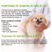 ISENVO Rapid Detection of Giardia in Dogs and Cats - Giardia Test Reliable Detection of Intestinal Parasites and Diarrhea - Used for Giardia in Dogs and Cats (2pcs) - Buy Online on GoSupps.com