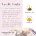 Lanolips 101 Ointment Superbalm Duo - Multipurpose Natural Healing Moisturizer for Lips, Skin, and Cuticles - Fragrance-Free - 2x15g - Buy Online on GoSupps.com