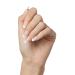 KISS imPRESS No Glue Press-On Nails - French Manicure Light Neutral & White Tips Medium Coffin Shape 30 Nails + Accessories - Buy Online on GoSupps.com