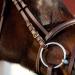 Horze Constance Padded Fancy Stitch Bridle w/Reins - Tan Horse - Buy Online on GoSupps.com