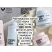 Authentic Beauty Concept Hydrate Cleanser Shampoo for Normal to Dry or Curly Hair - Moisturizing & Shine-Enhancing Formula - Vegan, Cruelty-Free, Sulfate-Free - 10.14 Fl Oz - Buy Online on GoSupps.com