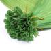 High-Quality Keratin Bonding Hair Extensions - Green - 60cm - 200 Strands - 100% Real Hair U-Tip by Novon - Buy Online on GoSupps.com