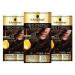 Schwarzkopf Oleo Intense Brown Hair Dye Permanent Oil Colour No Ammonia Covers Greys 4-86 Chocolate Brown (Pack of 3) Chocolate Brown 3 count (Pack of 1)