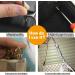 20 Pieces Golden D Ring Stud Screw Ball Post Head Buttons Rivets for Leather Craft - XBS0617003 - Buy Online on GoSupps.com