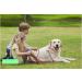 Newborn Puppy Kitten Small Animal Feeding Kit - Red 8 FR Tube with Syringe and Bulb Aspirator - Buy Online on GoSupps.com