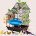 Hanging Bird Bath Tub for Parrot Cage - Shower Box, Feeder & Water Tray Accessories - Buy Online on GoSupps.com