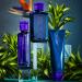 R+Co BLEU Magnifier Thickening Spray - 6.8 Oz | Vegan & Sustainable | Volume + Strength + Hold - Buy Online on GoSupps.com