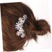 Beaupretty Tiara Women Hair Comb Bridal Hair Comb Women Hair Clip Flower Hair Comb Wedding Diamond - Buy Online on GoSupps.com