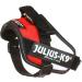 Buy IDC Powerharness XS/Mini-Mini | Stylish Polish Colors for Comfort & Control | International Shipping Available - Buy Online on GoSupps.com