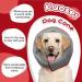 Kuoser Adjustable Dog Collar - Comfortable Leakage Protection for Wound Prevention - Red Size L (Neck 34-40 cm) - Buy Online on GoSupps.com