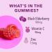 Havasu Nutrition Elderberry Gummies - Immune Support, 60 Count - Buy Online on GoSupps.com