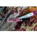 Aromi Metallic Matte Liquid Lipstick - Shimmery Vegan Cruelty-free Formula (Pumpkin Spice) - Buy Online on GoSupps.com
