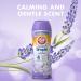 Arm & Hammer Clean & Simple Lavender Escape In-Wash Scent Booster 18oz (Pack of 4) - Buy Online on GoSupps.com