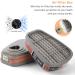 BYUSB 19in1 Reusable Full Face Respirator for Gas, Paint, Dust & Chemical Protection - Buy Online on GoSupps.com