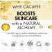 CACAYE Facial Toner Spray - Travel Size Green Tea & CaCay Oil Hydrating Face Mist with Niacinamide & Vegan Collagen | 1.35 oz Makeup Setting Spray - Buy Online on GoSupps.com