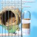 Bird Feeder Bird Water Feeder 2PCS Automatic Bird Water Dispenser for Cage Bird Water Bottle Drinker Food Seed Dispenser Cage Accessories for Parrots Budgie Lovebirds Parakeet Cockatiel 90ML - Buy Online on GoSupps.com