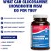 High Absorption Glucosamine Chondroitin MSM - Clinical Formula Bone Joint Tendon and Ligament Supplement with MSM Glucosamine Chondroitin - Non-GMO Gluten Free & Made in The USA - 120 Servings - Buy Online on GoSupps.com