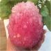 Natural Crystal Rough Crystal Cluster Rare and Beautiful Rose-Colored Quartz Crystal Cluster specimens Stones 900-1000g - Buy Online on GoSupps.com
