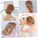MAGICLULU 10 Sets Hairpin Rhinestone Barrettes Bride Headpiece Hair Fork Womens Hair Clips Bridal Hair Clips Headpiece for Bride Hair Pins Zinc Alloy Bridesmaid Rhinestones Comb - Buy Online on GoSupps.com