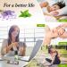 Copower 8x10ml Essential Oil Roll-On Set for Sweet Dreams & Relaxation | Lavender Vanilla Ylang-Ylang & More - Perfect Aromatherapy Gift - Buy Online on GoSupps.com