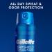 Gillette Dry Spray Antiperspirant and Deodorant for Men Arctic Ice 122 g - Buy Online on GoSupps.com