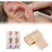 600Pcs Graine D'oreille D'acupuncture Vaccaria Graines D'oreille Oreille Presse Graines Acupuncture Points Acupuncture Graines Magn tiques Th rapies Auriculaire Kiuiom - Buy Online on GoSupps.com