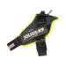 IDC Powerharness Size: XL/2 Jeans with Neon Edge Decoration Jeans with Neon Edge Decoration XL/2