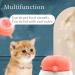 Zerodis Pet Silicone Feeder with 3 Nipples for Newborn Pets - Kittens & Puppies Feeding Bowl - Buy Online on GoSupps.com