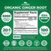 Zazzee Organic Digestive Comfort Support Bundle | 20:1 Ginger Root Extract Plus Marshmallow Root Capsules | Non-GMO Vegan & ISO Lab Tested - Buy Online on GoSupps.com