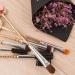 Coshine 8pcs Sailor Moon Makeup Brush Set with Pouch - Magical Girl Gold Cardcaptor Sakura Brushes and Cute Pink Bag - Buy Online on GoSupps.com