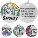 Colored dog brands with engraving personalized dog brand made of stainless steel engraved dog pendants with name animal brand for dogs and cats dog name signs for collar (meteor)