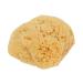 Bass Brushes Large Natural Bath Shower | 1 EA - Eco-Friendly Shower Tool - Buy Online on GoSupps.com