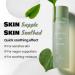 DEWYTREE Heartleaf 100 Toner | Korean Toner for Face w/Heartleaf Extract Centella Asiatica & Rosemary Oil | Hydrating Toner for Sensitive Skin | Vegan Skin Care Toner (6.76 Fl. Oz.) - Buy Online on GoSupps.com