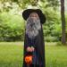UILYNIU Wizard Wig and Long Beard Men's Long Curly Grey Wig Cosplay Wizard Sorcerer Prophet Wig for Carnival Halloween Christmas Costume Wigs Old Men Cosplay Wig Adult Fancy Dress Party Wig (Grey) - Buy Online on GoSupps.com