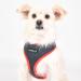 Puppia Soft Harness II - Comfortable & Adjustable Dog Harness for Small & Medium Dogs - Gray M - Buy Online on GoSupps.com