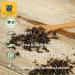 Buy 3x100g Organic Indian Chai - Premium Quality Tea for International Shipping - Buy Online on GoSupps.com