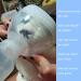 Pet Aerosol Chamber for Cats and Small Dogs | Fits Comfortably | Silicone Mask | All Pets - Buy Online on GoSupps.com