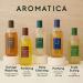 AROMATICA Rosemary Active V Anti-Hair Loss Shampoo & Conditioner Set 13.53 fl. oz. each - Hair Growth Shampoo and Conditioner Set with Rosemary Oil - Paraben  Sulfate and Silicon Free 04 Anti-Hair Loss Shampoo & Rosemary Câ¦ - Buy Online on GoSupps.com